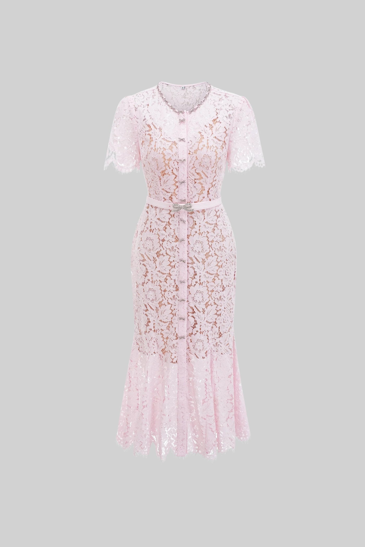 Elegant Floral Lace Fitted Dress with Button Detail and Scalloped Hem - Blush Pink